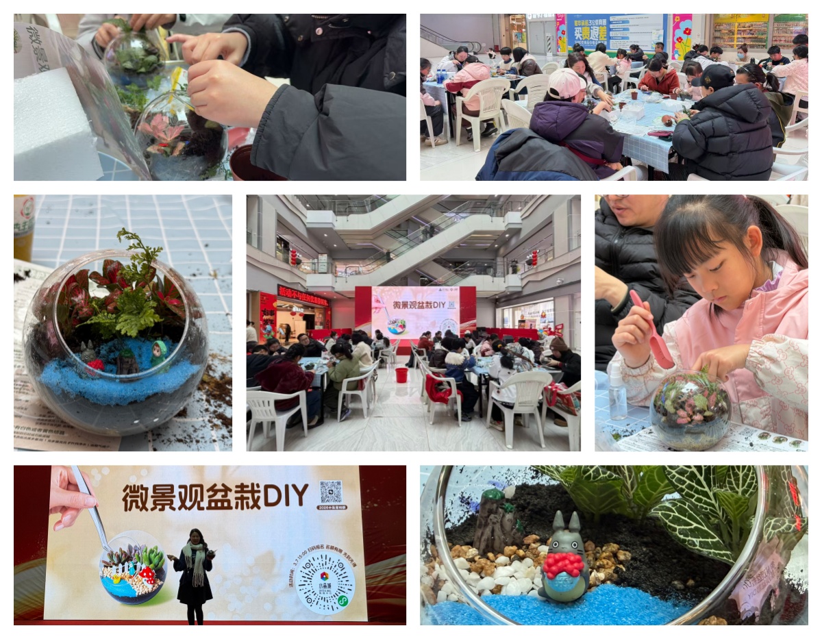 巧手造微景，指尖绽春意——水晶城微景观盆栽 DIY 活动圆满举办