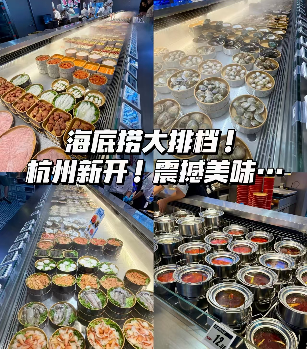 微信图片_20260920170113_20_52.jpg 微信图片_20260920170113_20_52.jpg
